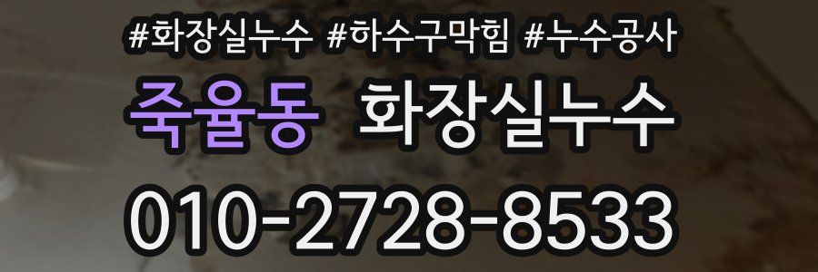 죽율동 누수탐지
