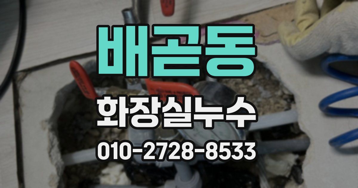 배곧동 누수업체