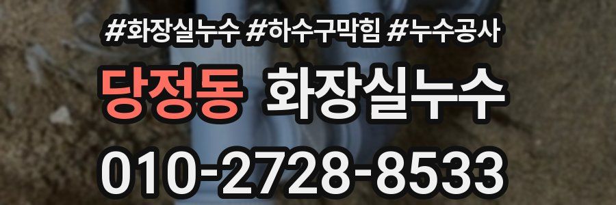 당정동 누수탐지