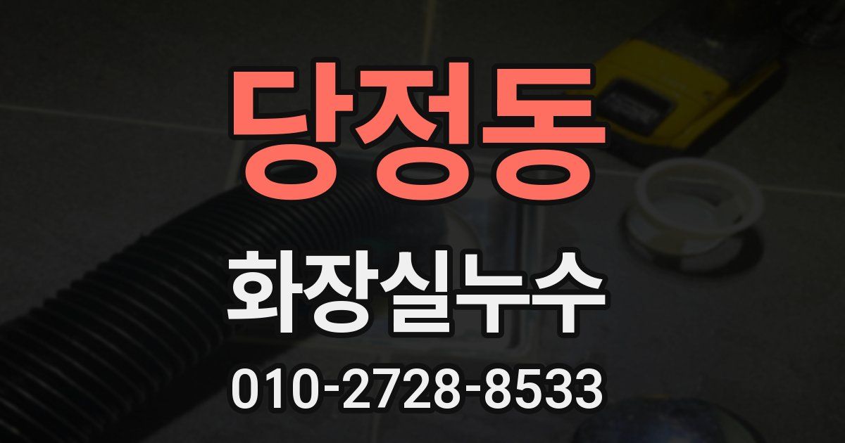 당정동 누수업체