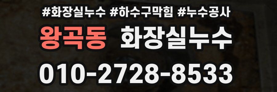 왕곡동 누수탐지