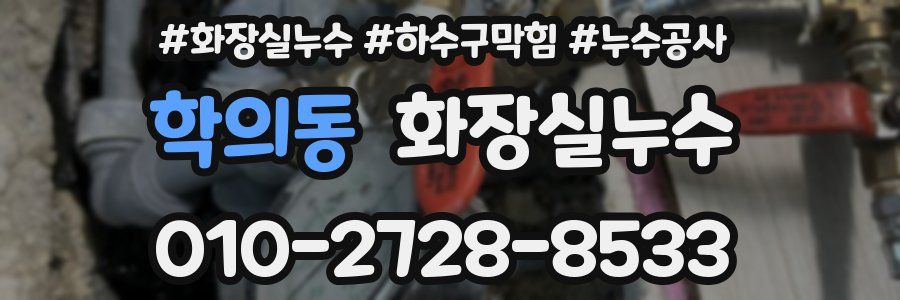 학의동 누수탐지