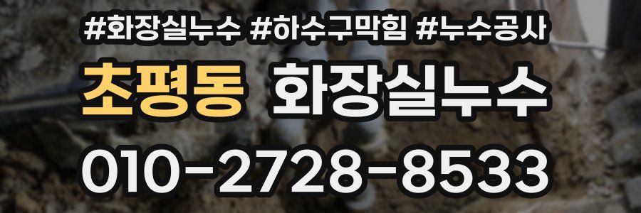 초평동 누수탐지