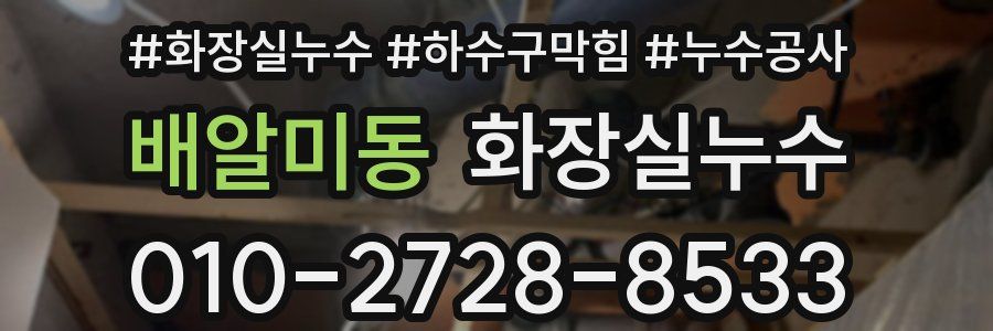 배알미동 누수탐지