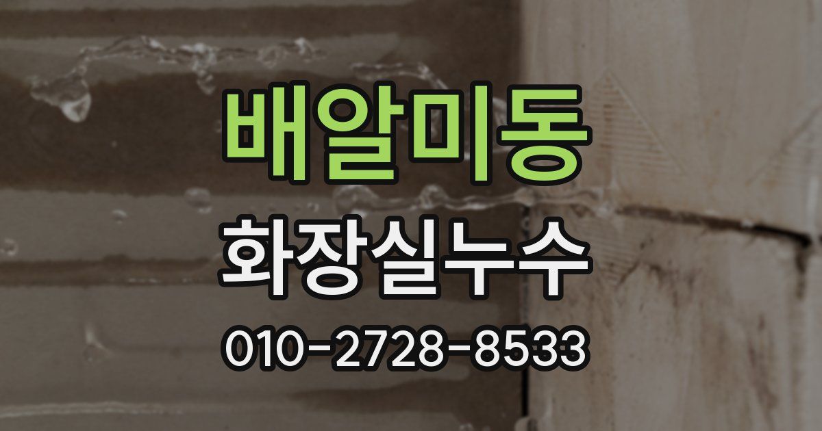 배알미동 누수업체