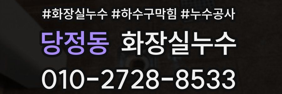 당정동 누수탐지