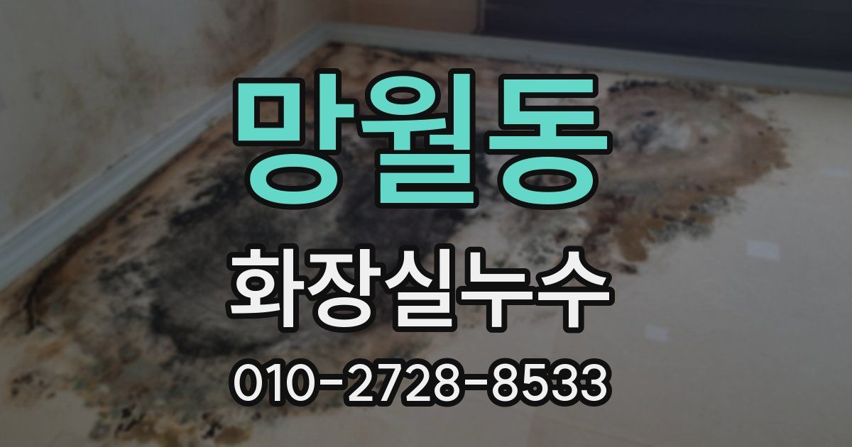 망월동 누수업체
