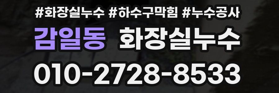 감일동 누수탐지