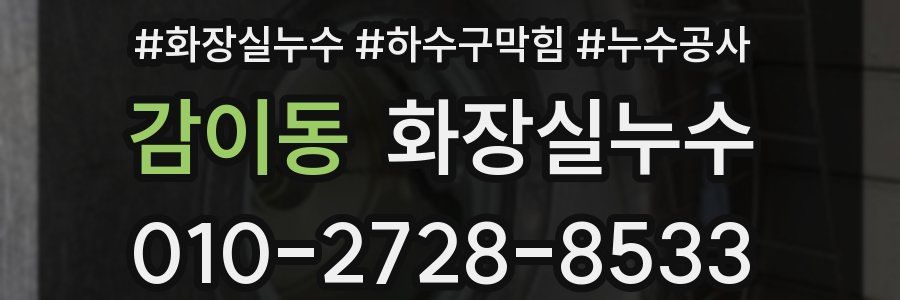 감이동 누수탐지