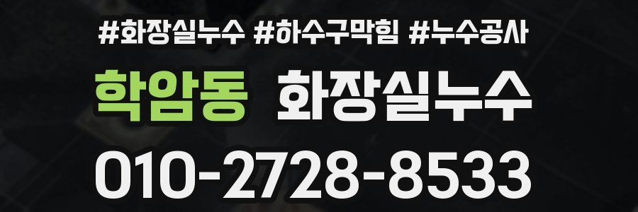 학암동 누수탐지