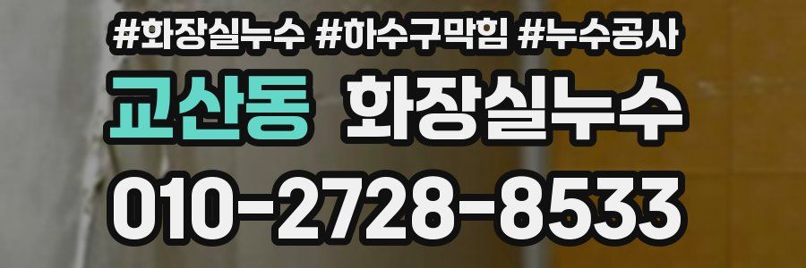 교산동 누수탐지