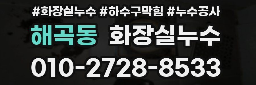 해곡동 누수탐지