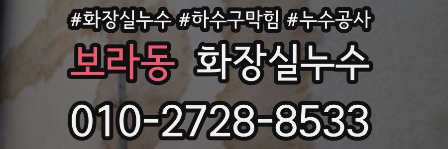 보라동 누수탐지