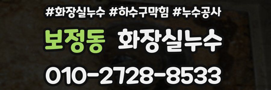 보정동 누수탐지