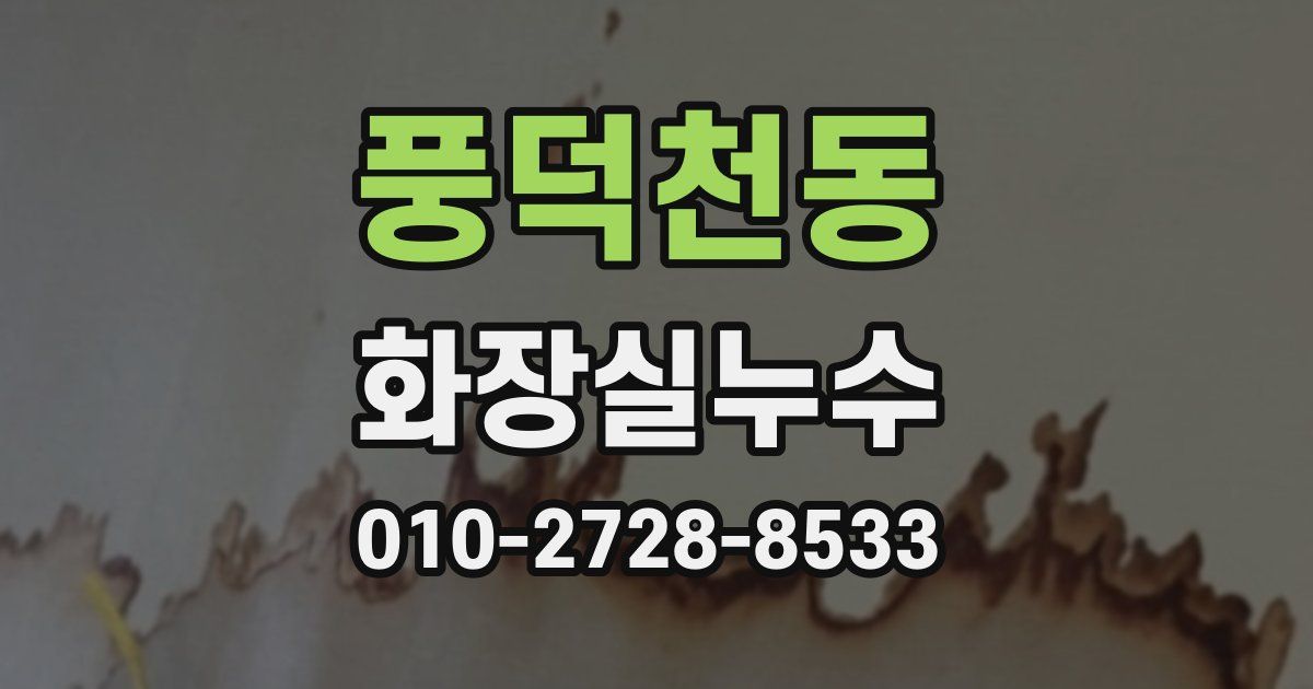 풍덕천동 누수업체
