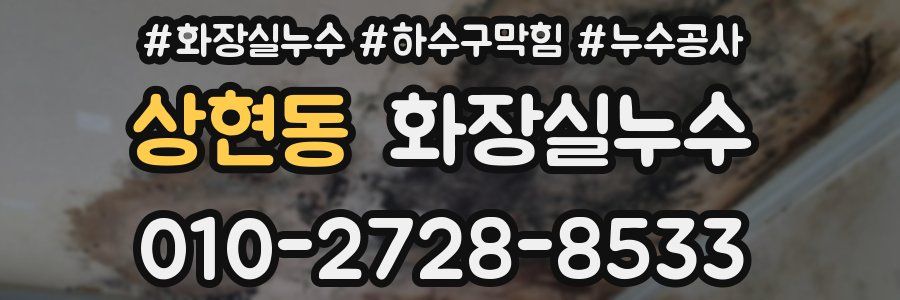 상현동 누수탐지