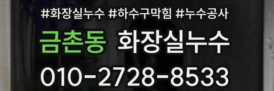 금촌동 누수탐지