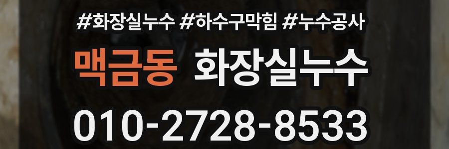맥금동 누수탐지