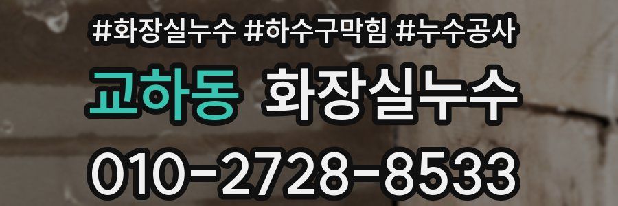 교하동 누수탐지