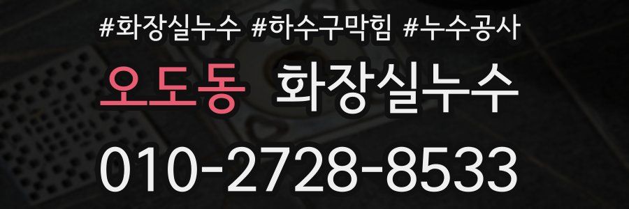 오도동 누수탐지