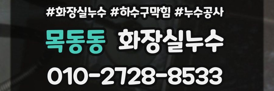 목동동 누수탐지