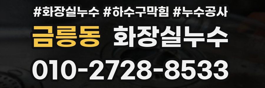 금릉동 누수탐지