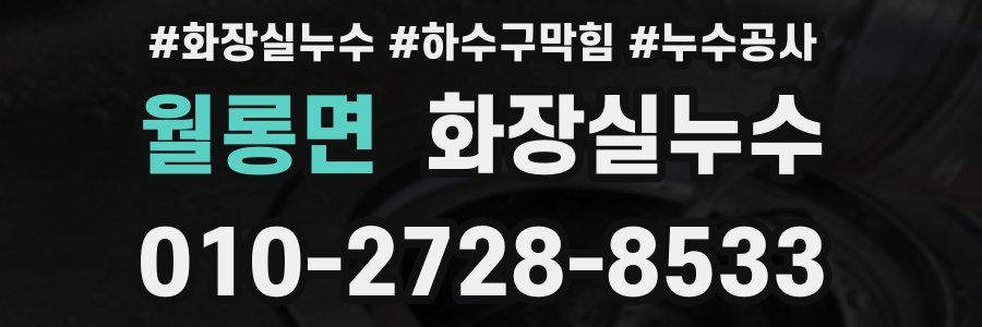 월롱면 누수탐지