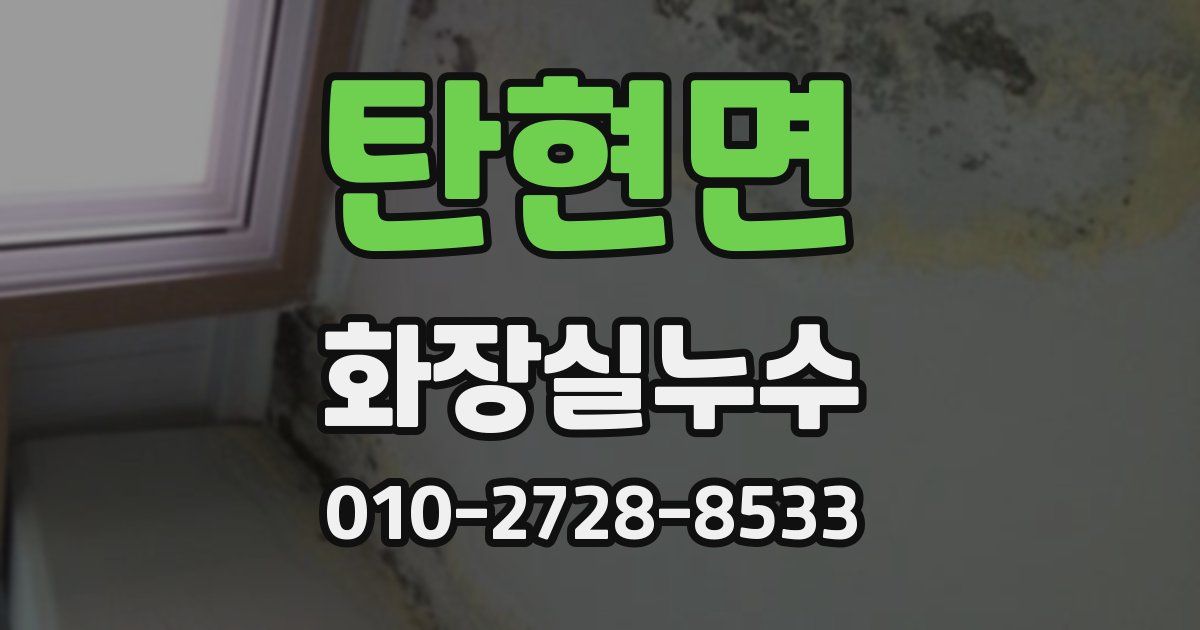 탄현면 누수업체