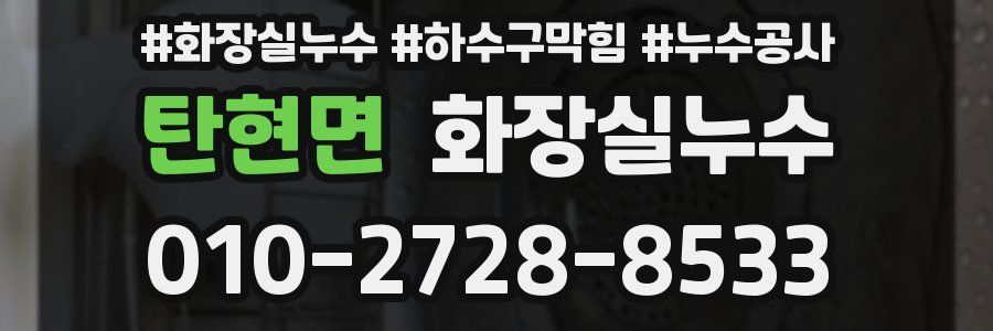 탄현면 누수탐지