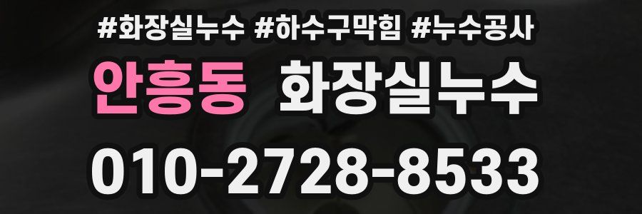 안흥동 누수탐지