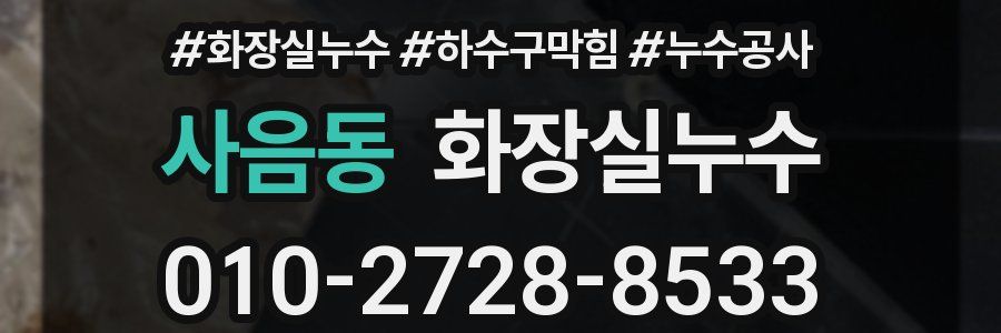 사음동 누수탐지