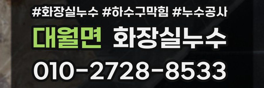 대월면 누수탐지