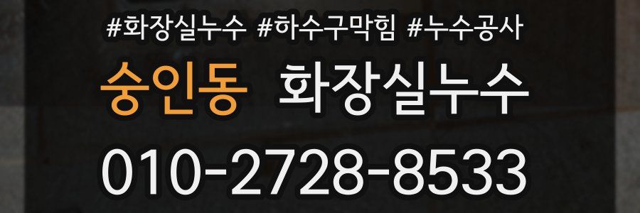 숭인동 누수탐지