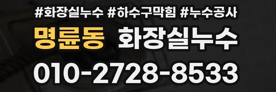 명륜동 누수탐지