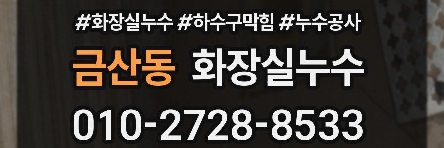 금산동 누수탐지