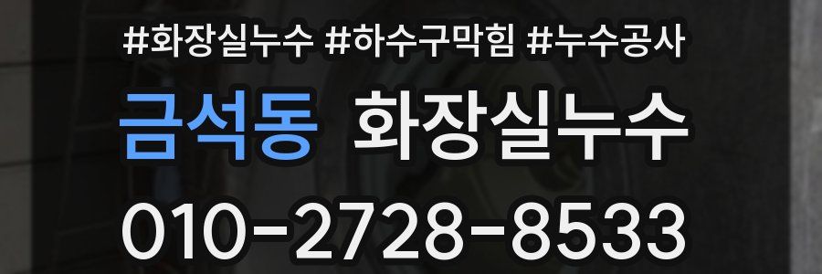 금석동 누수탐지