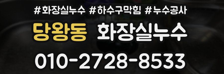 당왕동 누수탐지