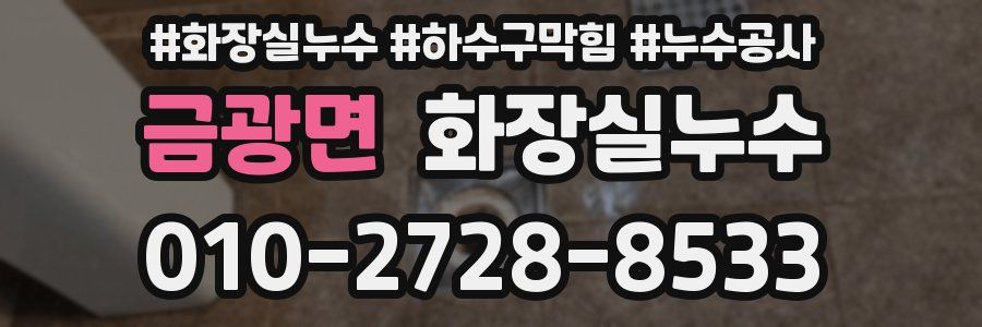 금광면 누수탐지