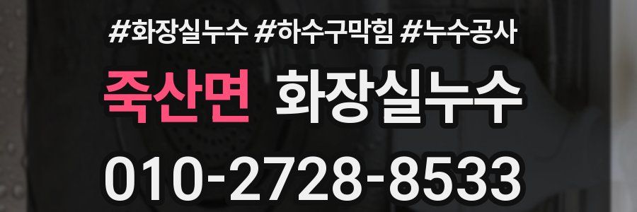 죽산면 누수탐지