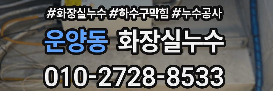 운양동 누수탐지
