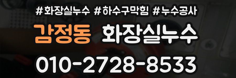 감정동 누수탐지