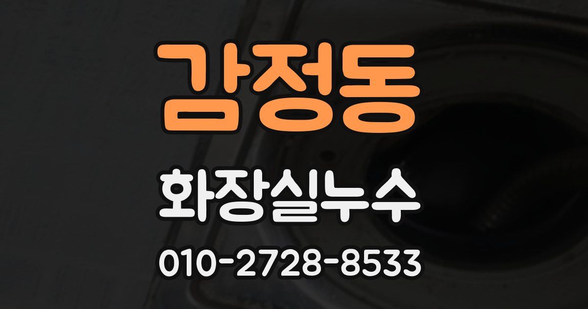 감정동 누수업체