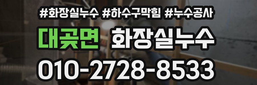대곶면 누수탐지