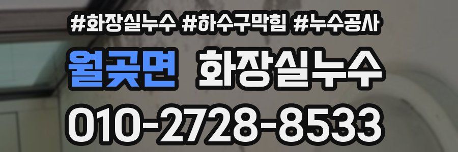 월곶면 누수탐지