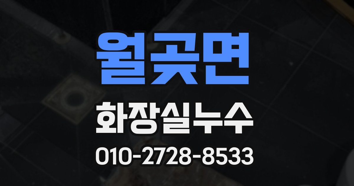 월곶면 누수업체