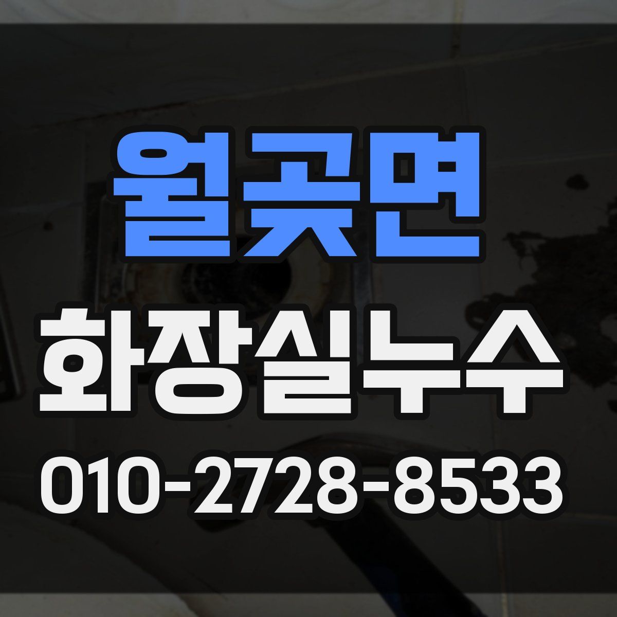 월곶면 화장실누수탐지