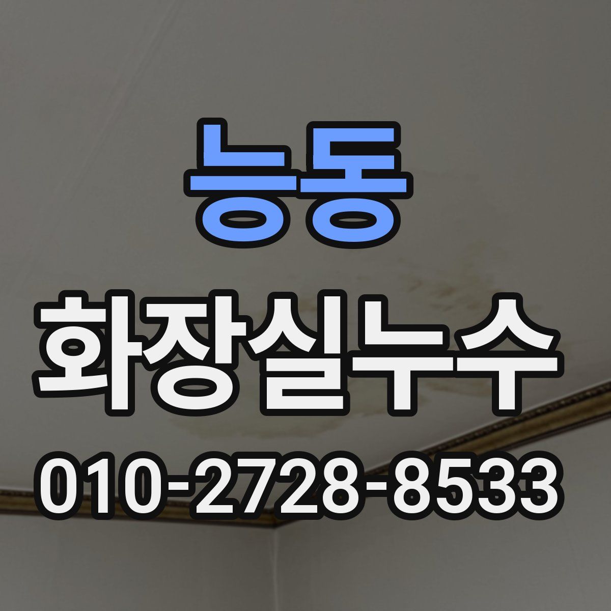 능동 화장실누수탐지