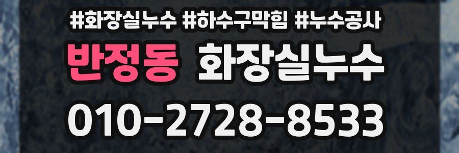 반정동 누수탐지