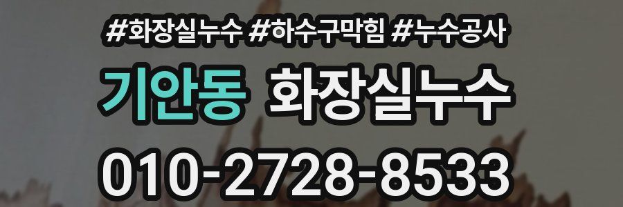 기안동 누수탐지