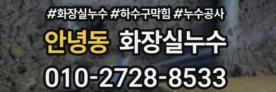 안녕동 누수탐지